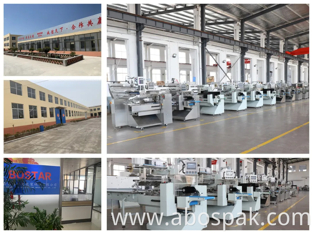Cream Cracker/ Butter Cookie/ Vanilla Biscuit/ Wafer/ Puff Pillow Flow Multi-Function Packing Packaging Machine with Tray